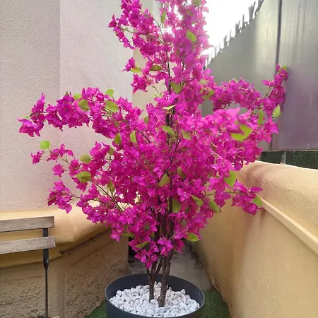 Cosy, Terrasse, Proche Et Tramway * Nizza
